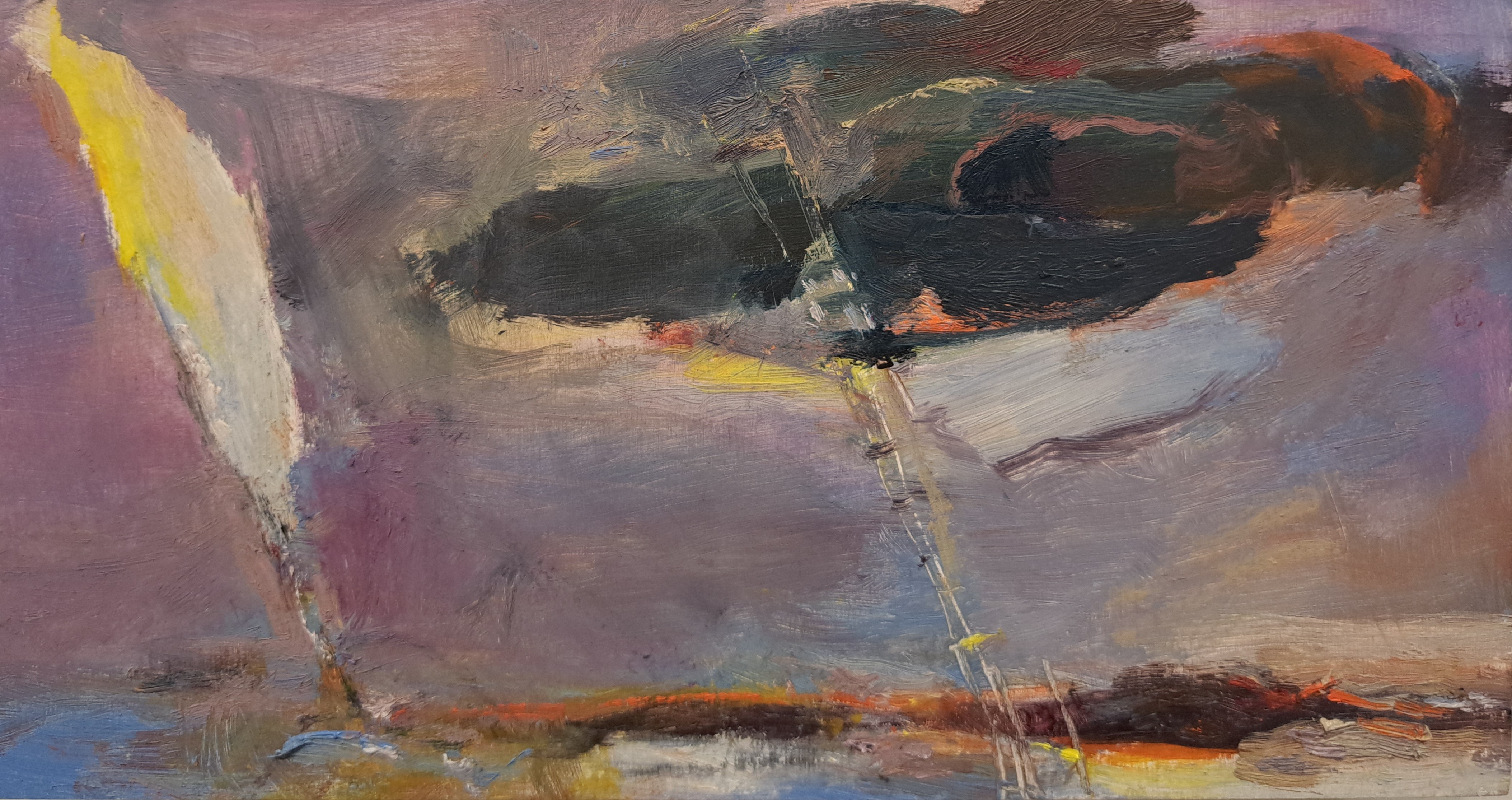 melvilles_desert_ladder_6x12_2024.jpg