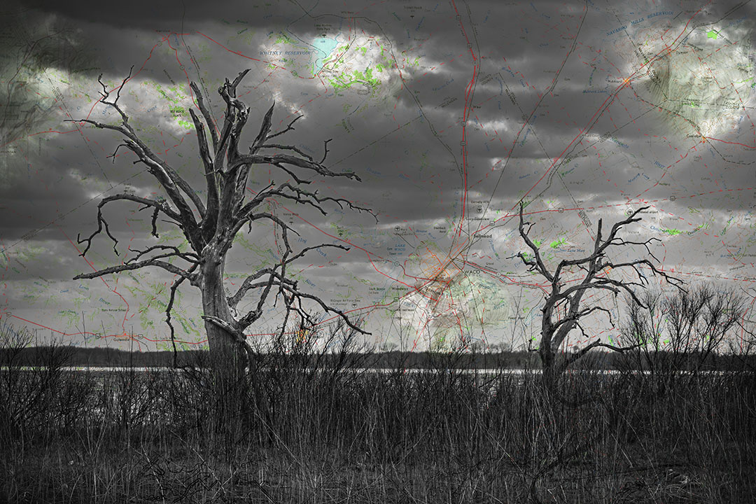 meeker_lament_of_the_cypress.jpg